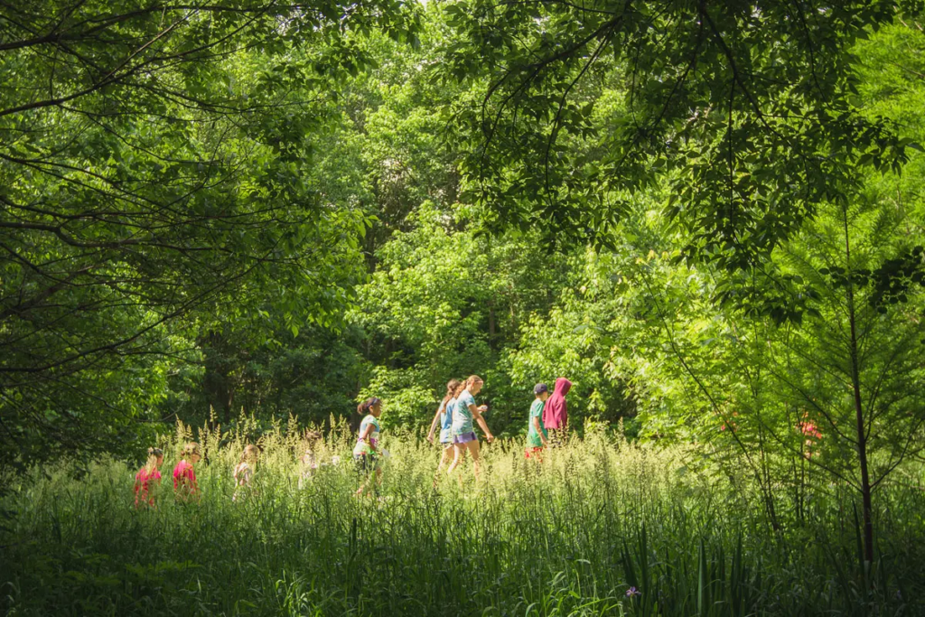 Several young people walking along a trail at Fulbright Spring Park